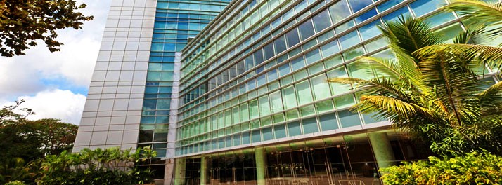 384/The Westin Mumbai Garden City - Mumbai 02.jpg